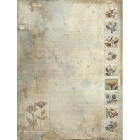 49 and Market Paper Pack: Faded Memory Lane 