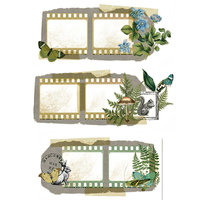 Katie Pertiet for Arden Creative Studio PET Tape: Hidden Creek