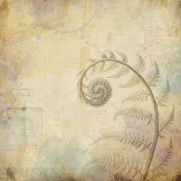 PREORDER: 7 Dots Studio Collection Kit: Botanica