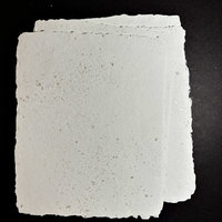 Handmade Artisan Sparkle Paper Set: Large