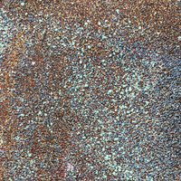RESTOCKED: WOW Embossing Powder QUAD: Enchanted Alchemy