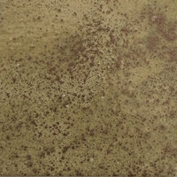 WOW Embossing Powder Set: Found in Nature