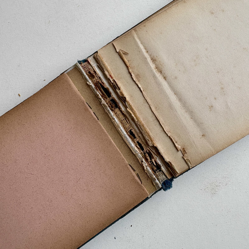 Antique Autograph Album: Blank