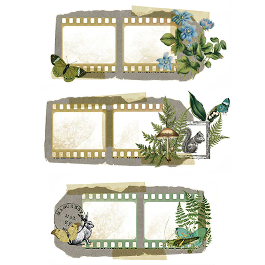 Katie Pertiet for Arden Creative Studio PET Tape: Hidden Creek