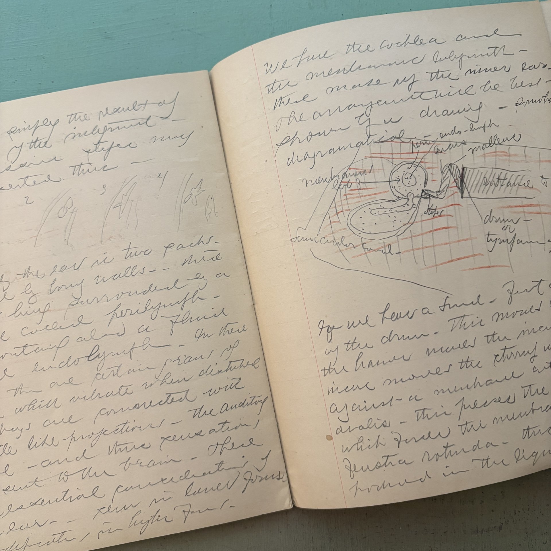 SOLD: 1880-1883 Harvard Blue Book: N.H. II #2