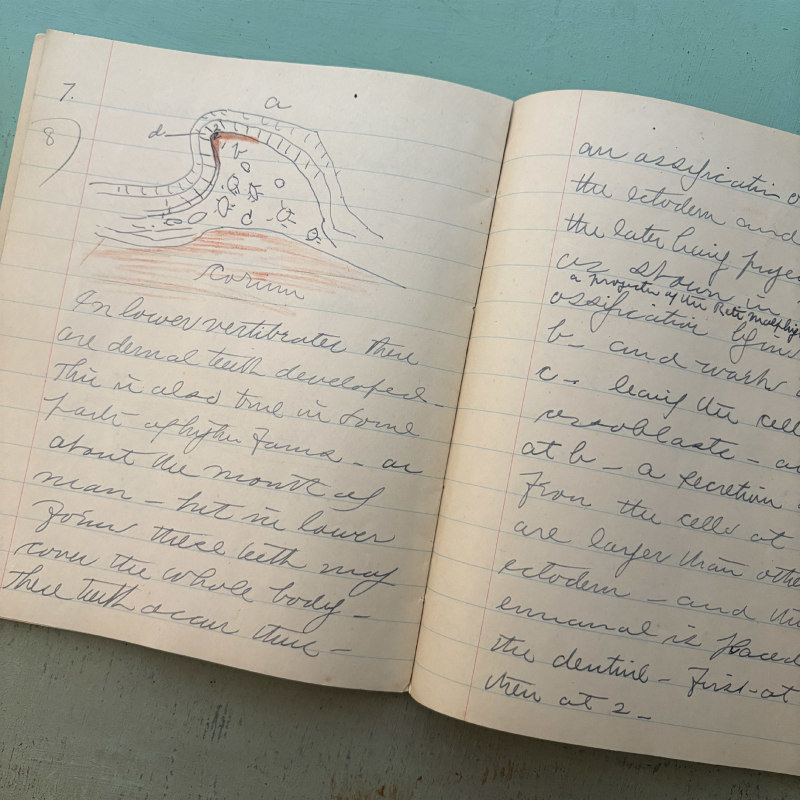 1880-1883 Harvard Blue Book: N.H. II #1