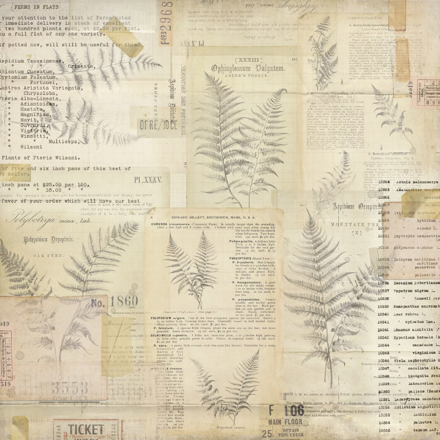 PREORDER: 7 Dots Studio Collection Kit: Botanica