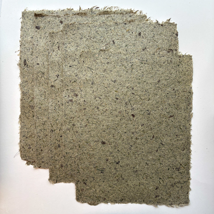 RESTOCKED: Natural Handmade Paper: Lawn Grass