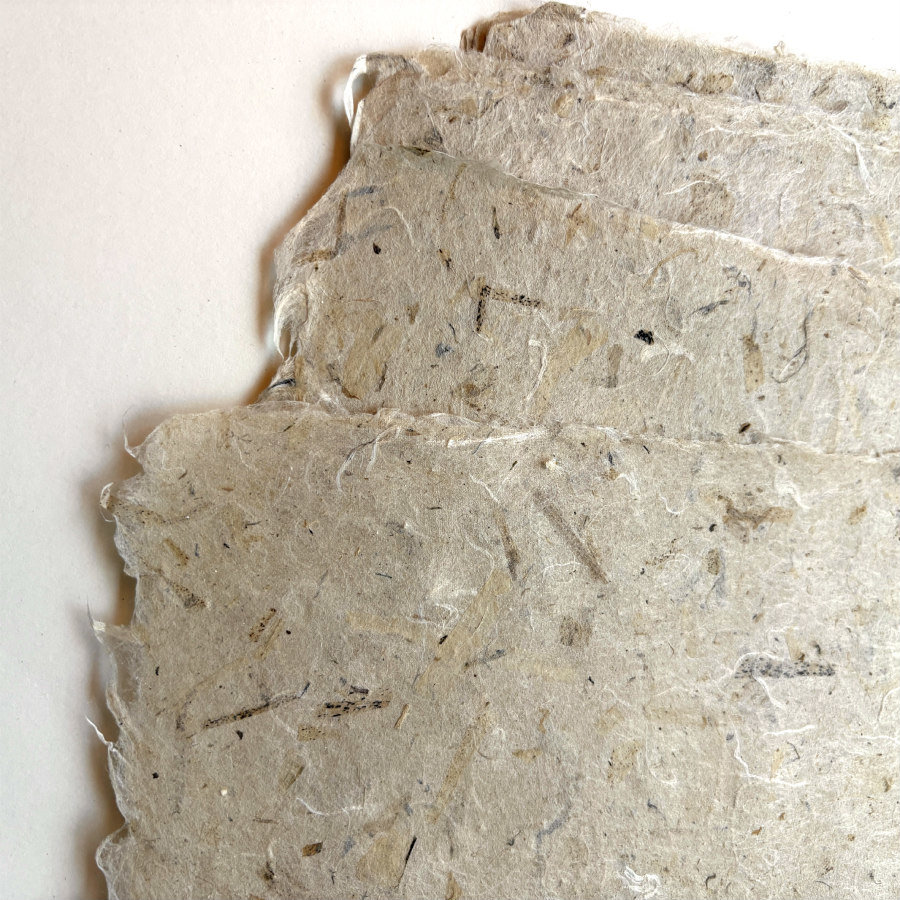 RESTOCKED: Natural Handmade Paper: Milkweed Fiber Autumn Harvest