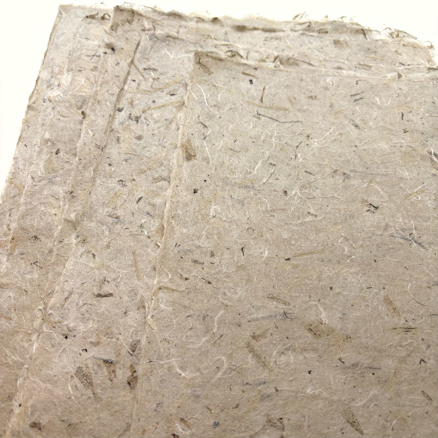 RESTOCKED: Natural Handmade Paper: Milkweed Fiber Autumn Harvest