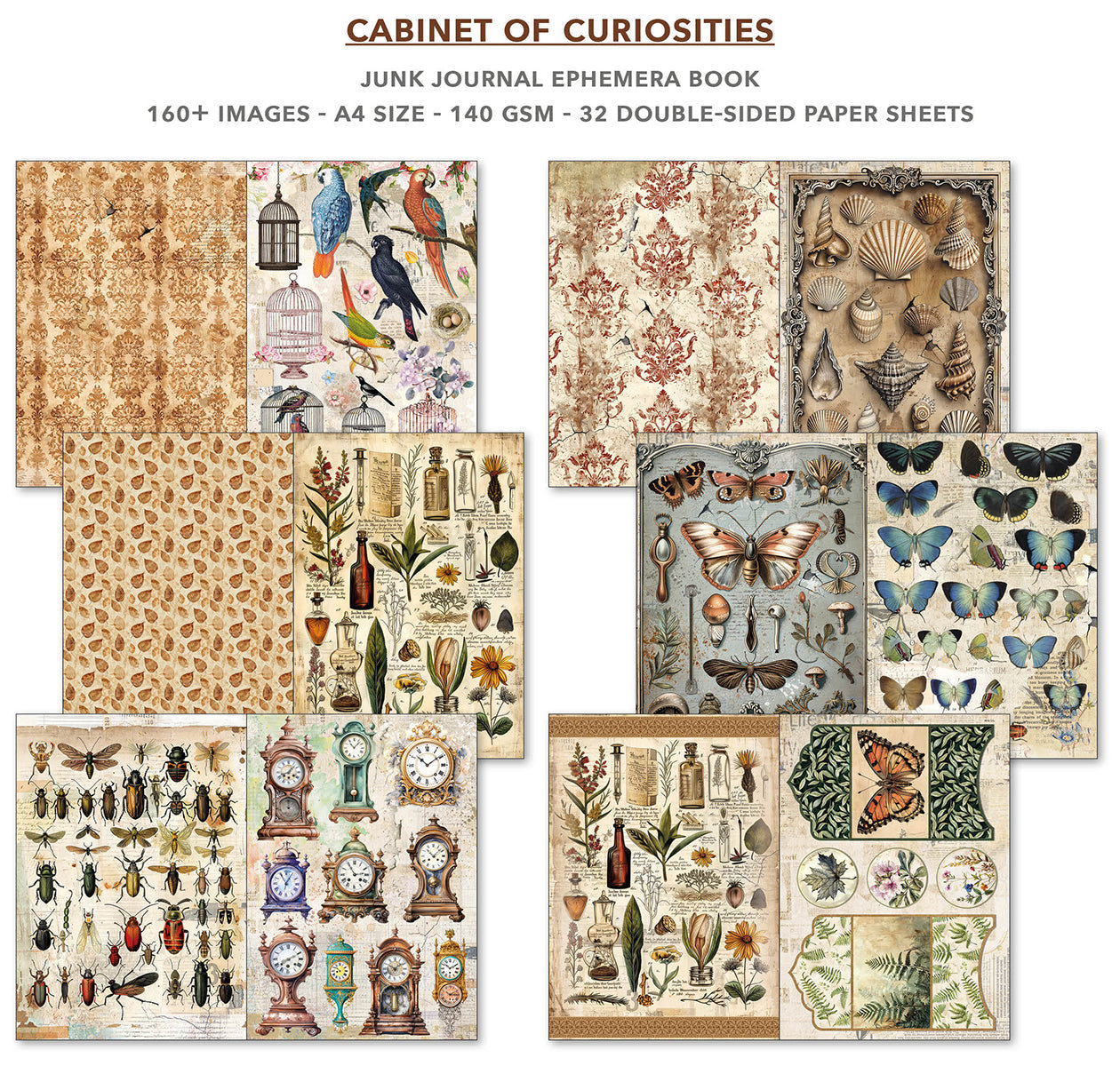 Ciao Bella Junk Journal Ephemera Book: Cabinet of Curiosities