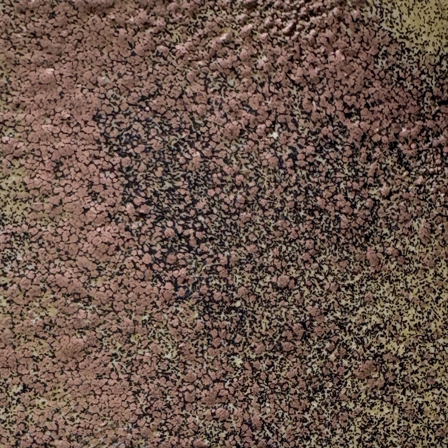 WOW Embossing Powder Set: Found in Nature