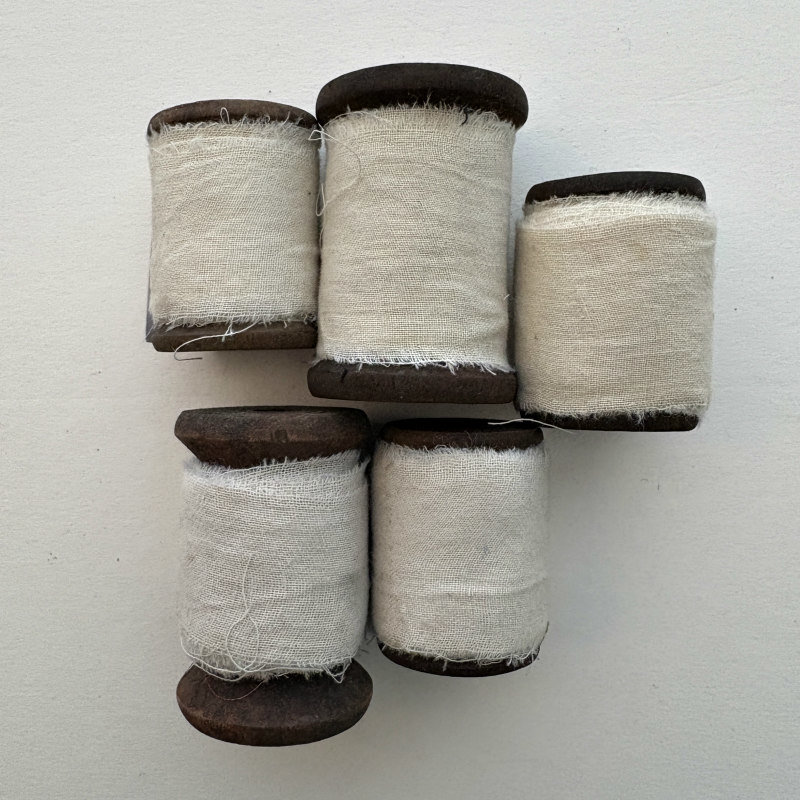 Spooled Sari Underpinnings Cotton Ribbon: Snow