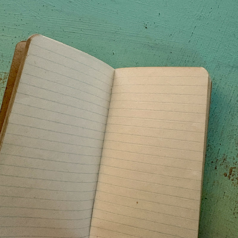 1903 Rasin-Monumental Fertilizers Booklet 