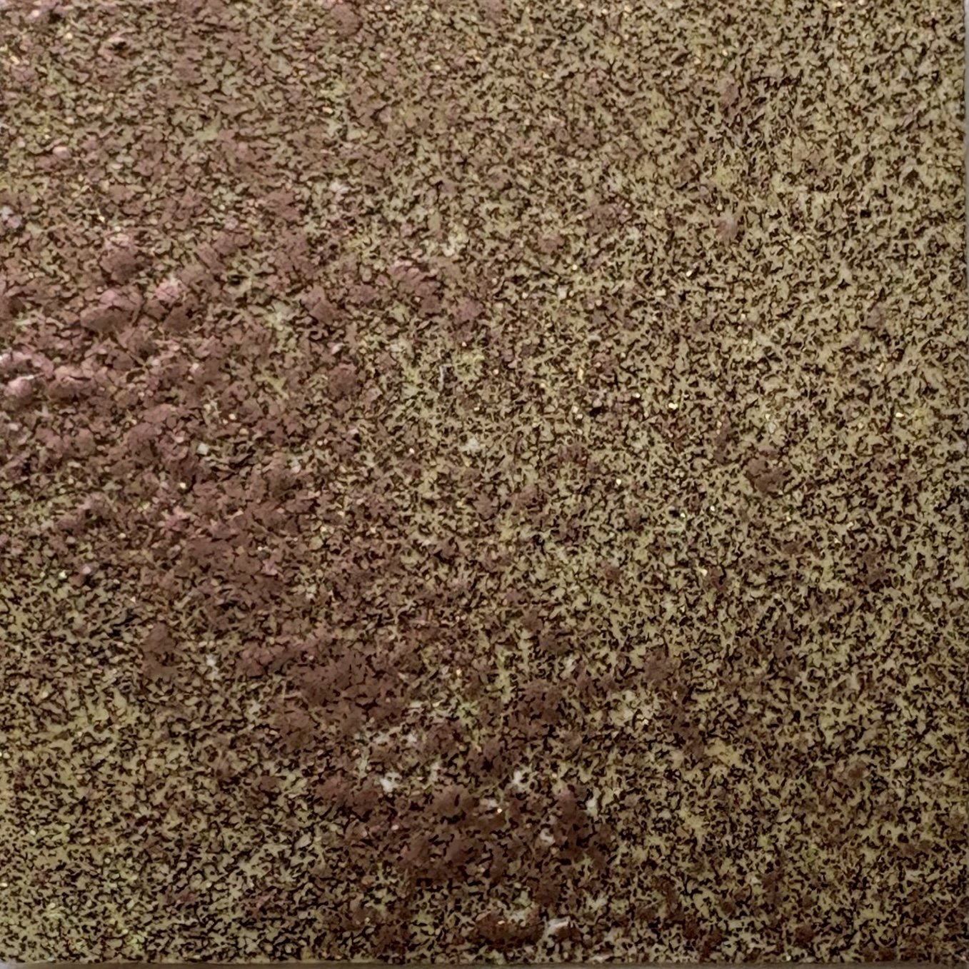 WOW Embossing Powder Set: Found in Nature