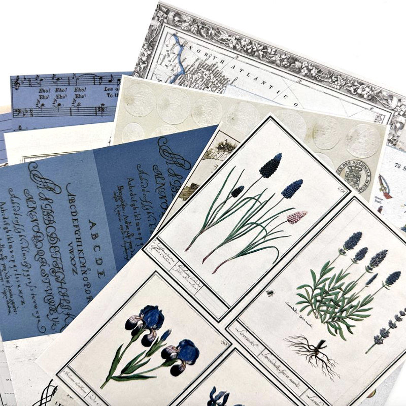 49 and Market Collage Sheet Pack: Inkwell 