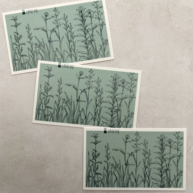 Botanical Collage Cards: Green Grass