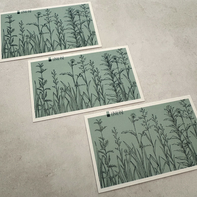 Botanical Collage Cards: Green Grass