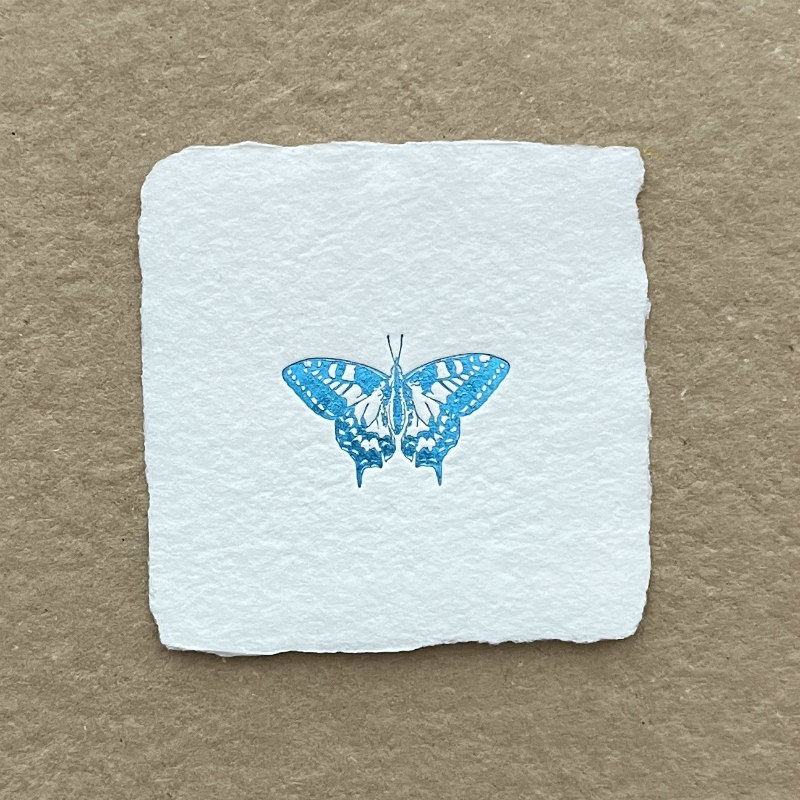 Handmade Paper Letterpress Mini: Foil Swallowtail