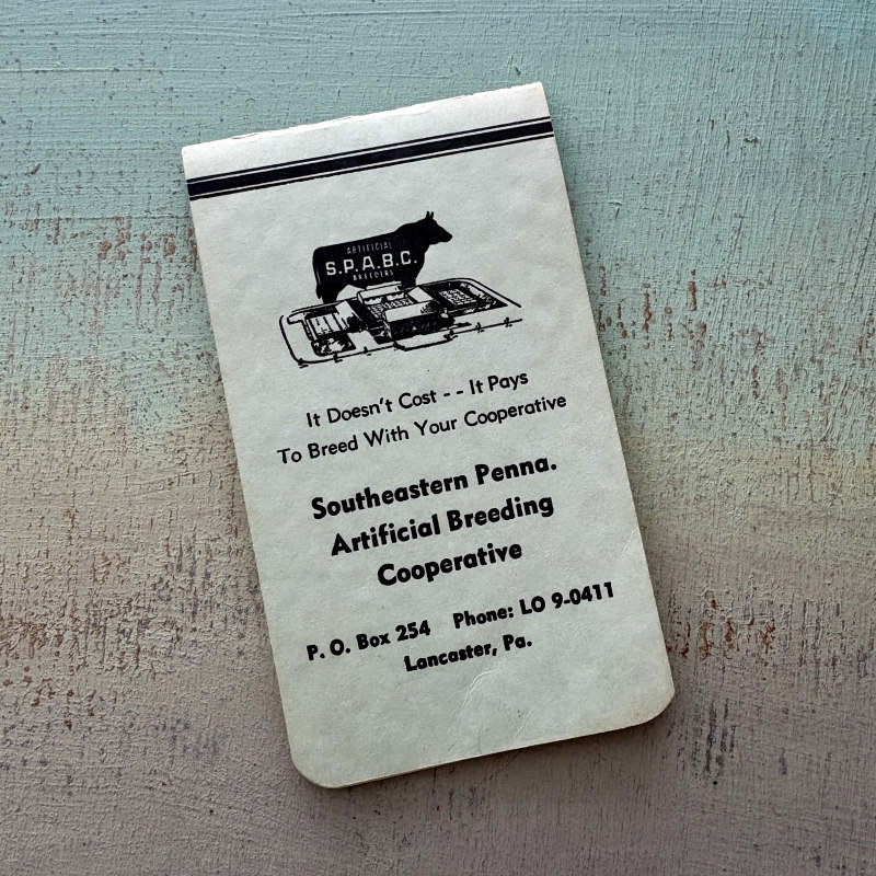 Vintage Memo Pad: 1961