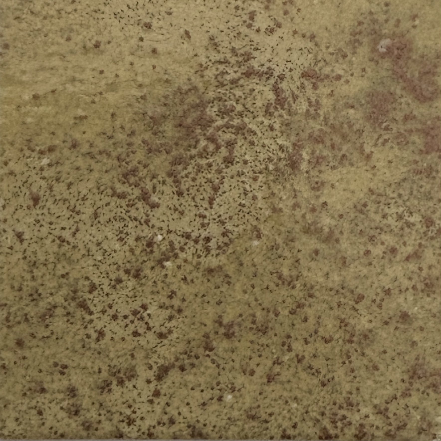 WOW Embossing Powder Set: Found in Nature