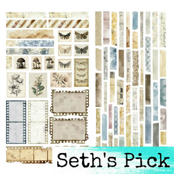 NEW: 49 and Market Cello Tape Elements: Faded Memory Lane 