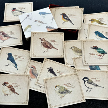Vintage-Style Cards in Slide Box: Wild Birds 