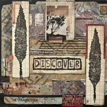 Seth Apter Discover Curiosities: Original Mixed Media Art